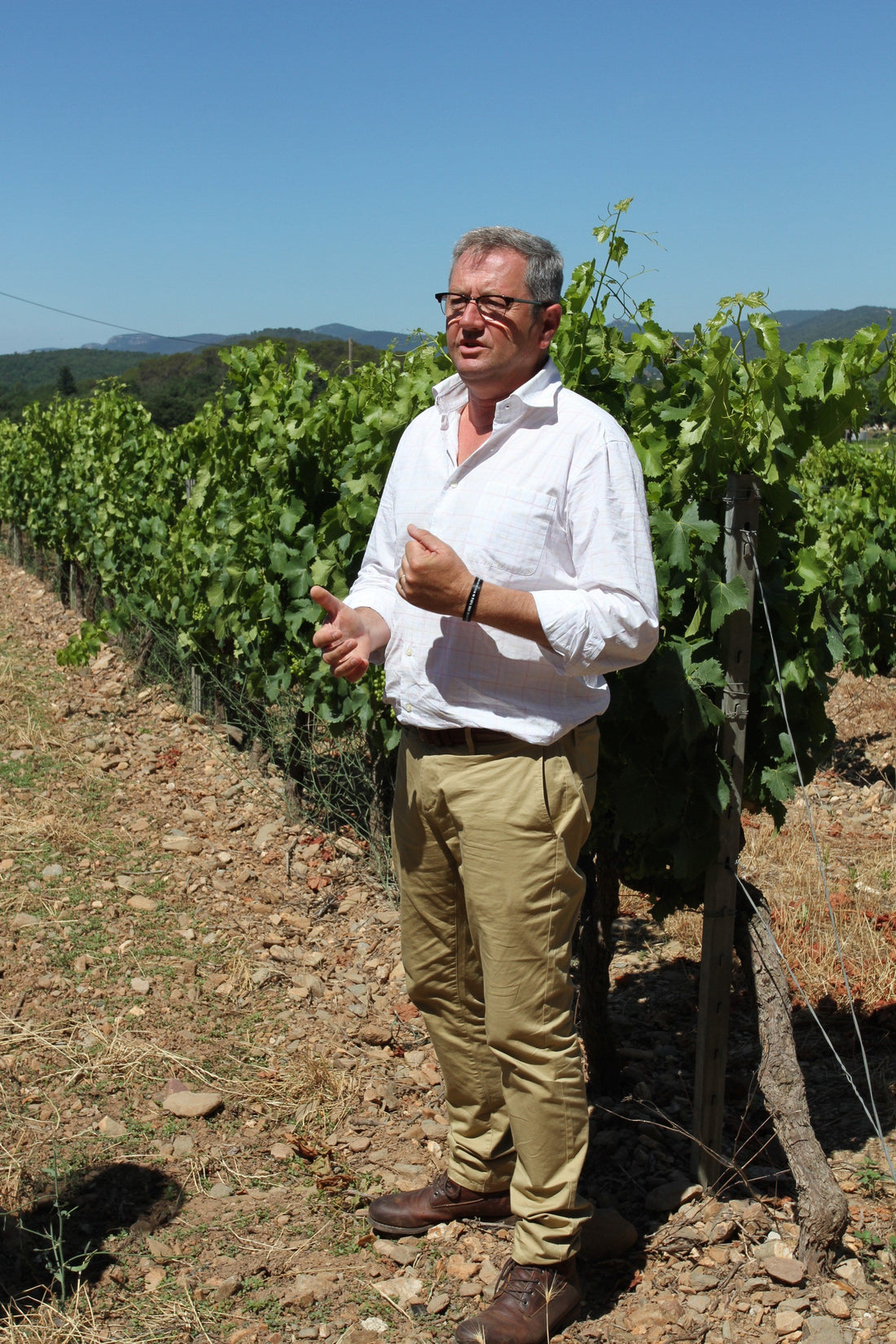 Domaine Rimauresq
