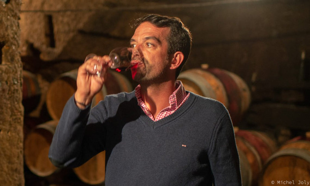 Domaine Guiberteau