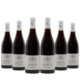 Bourgogne Pinot Noir Coquette Domaine Olivier Morin 2022 - Pack of 6 bottles